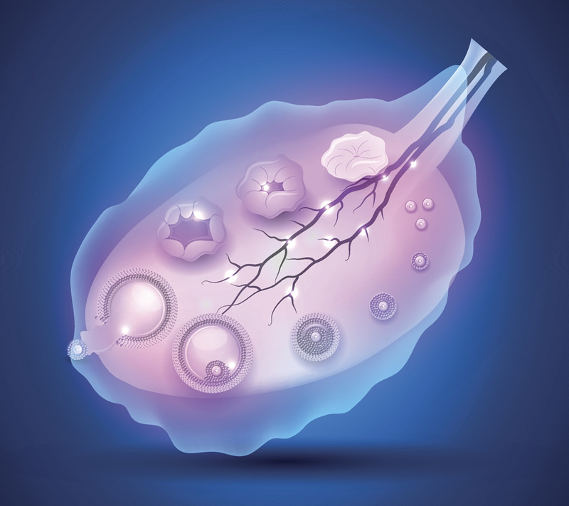 2026日照试管婴儿医院排名，附成功率及费用介绍